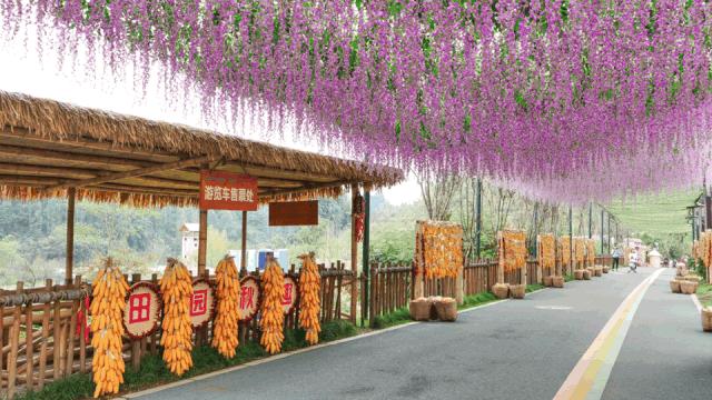 成都双流晚上适合拍照打卡的地方,成都周末打卡推荐双流