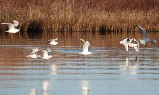 赏秋小众景点推荐,川西赏秋旅游景点