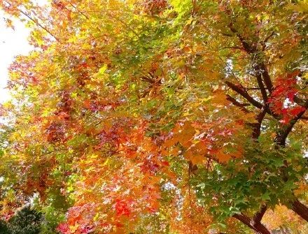 赏秋小众景点推荐,川西赏秋旅游景点