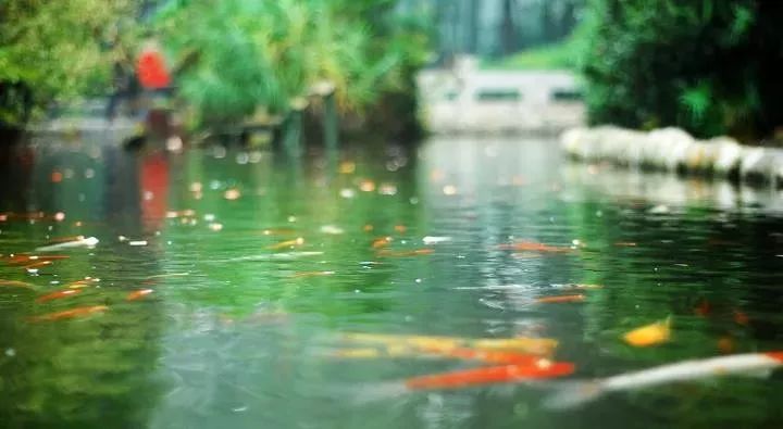 成都1100个公园俯瞰,成都100个公园规划图