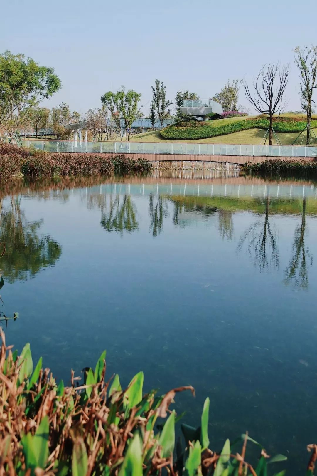 成都1100个公园俯瞰,成都100个公园规划图