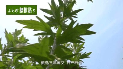 身体健康比什么都重要善待自己吧,身体健康比什么都重要只能靠自己