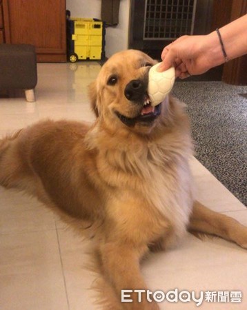 挖耳朵太舒服! 阿金爽到「嘴边肉失守」...努力忍住不笑出来