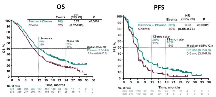 周爱萍医生,周爱萍肿瘤内科