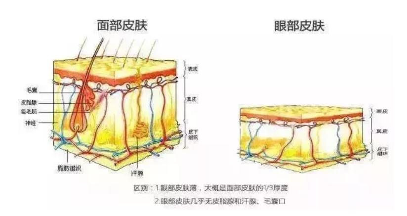 秘籍秘笈区别,王者青铜和王者段位的区分