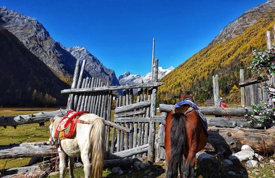 四姑娘山7-9月的风景,错过四姑娘山的秋天