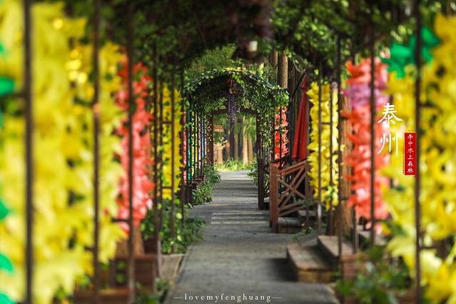 泰州水城有什么好玩,水城泰州