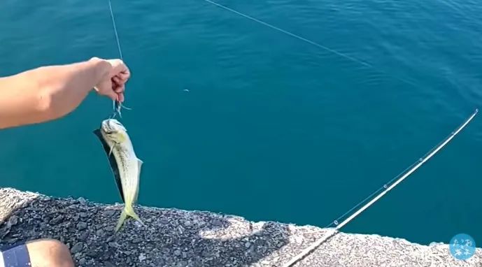 女生把破面包车改装成房车,女生把面包车改造成房车