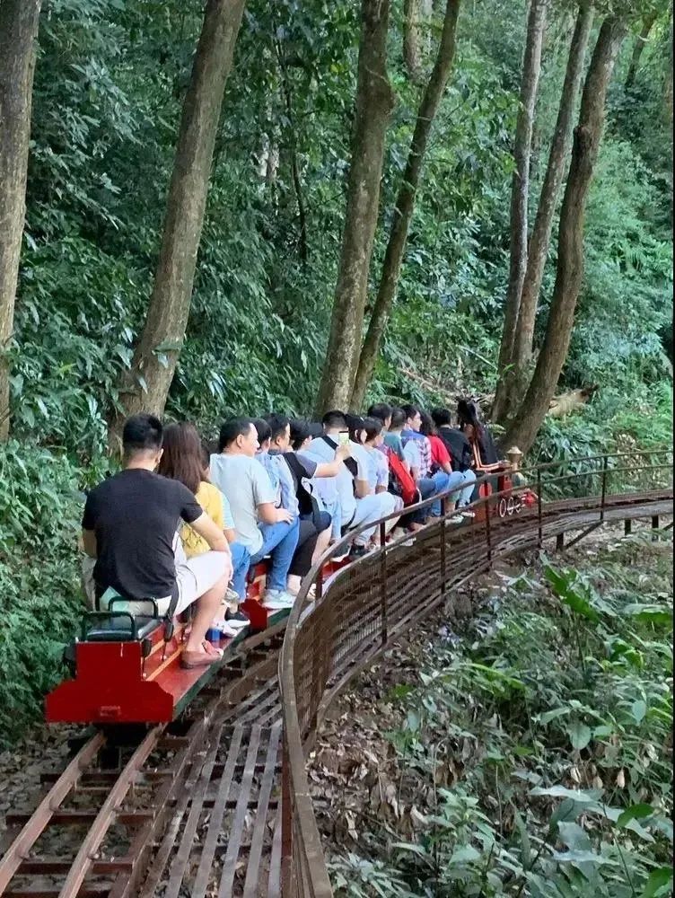 爬厦门仙灵棋山看日出,厦门周边登高望远的地方