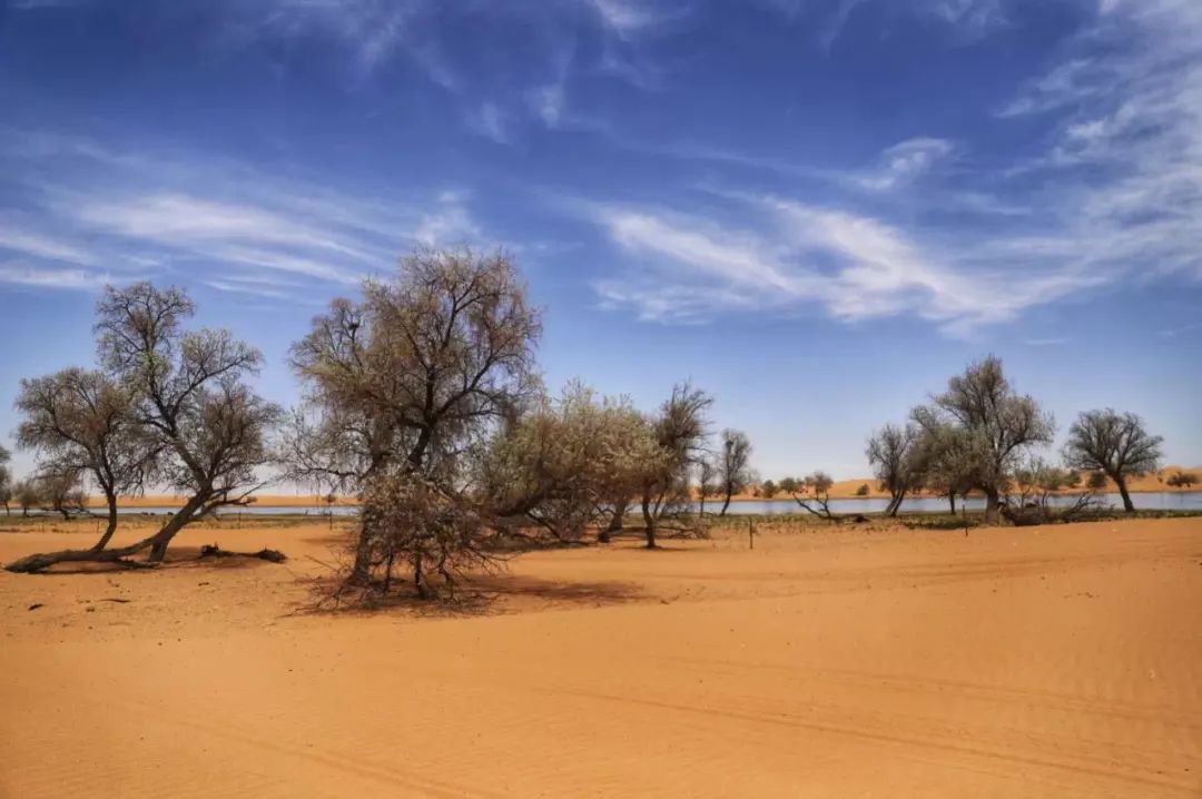 宁夏适合3-4月份旅游,宁夏的秋天
