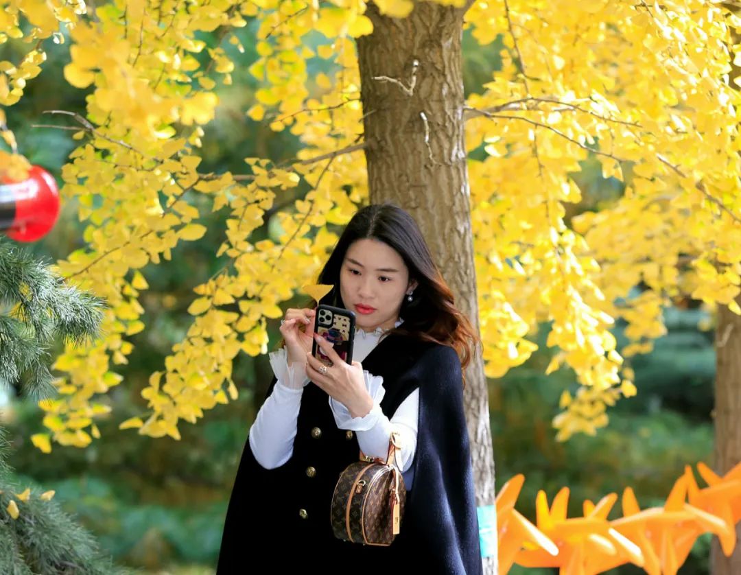 白蜡树下人如潮，勿忘城中多妖娆！你身边还有这些网红打卡地→