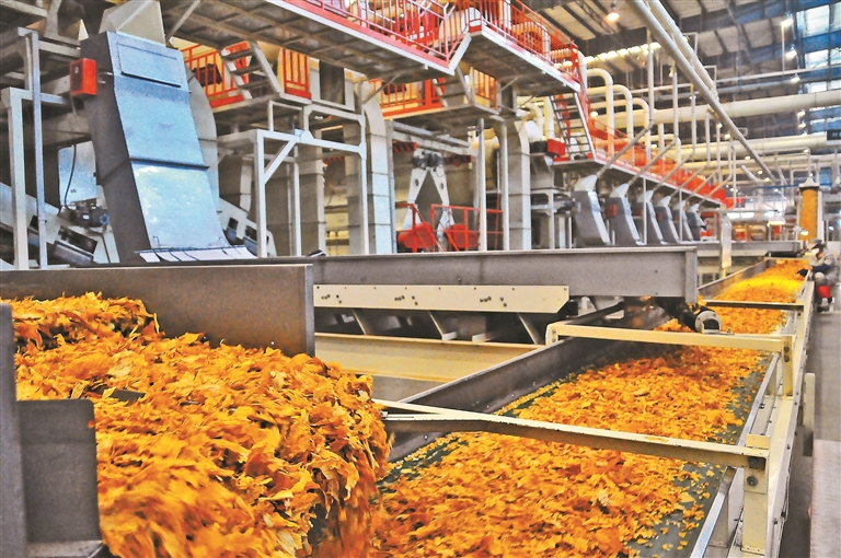 涓诲姩鎷呭綋浣滀负鍕囦簬鏀诲潥鍏嬮毦,涓诲姩鎷呭綋浣滀负鍏ㄥ姏鏀诲潥鍏嬮毦