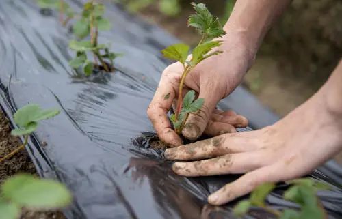 中国二十四节气之一立冬,传统文化二十四节气之立冬