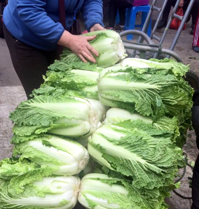 宇宙的尽头是美食,宇宙的尽头美食