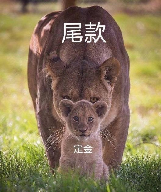 如果优惠不再稀缺，你还会苦等一个购物节吗？