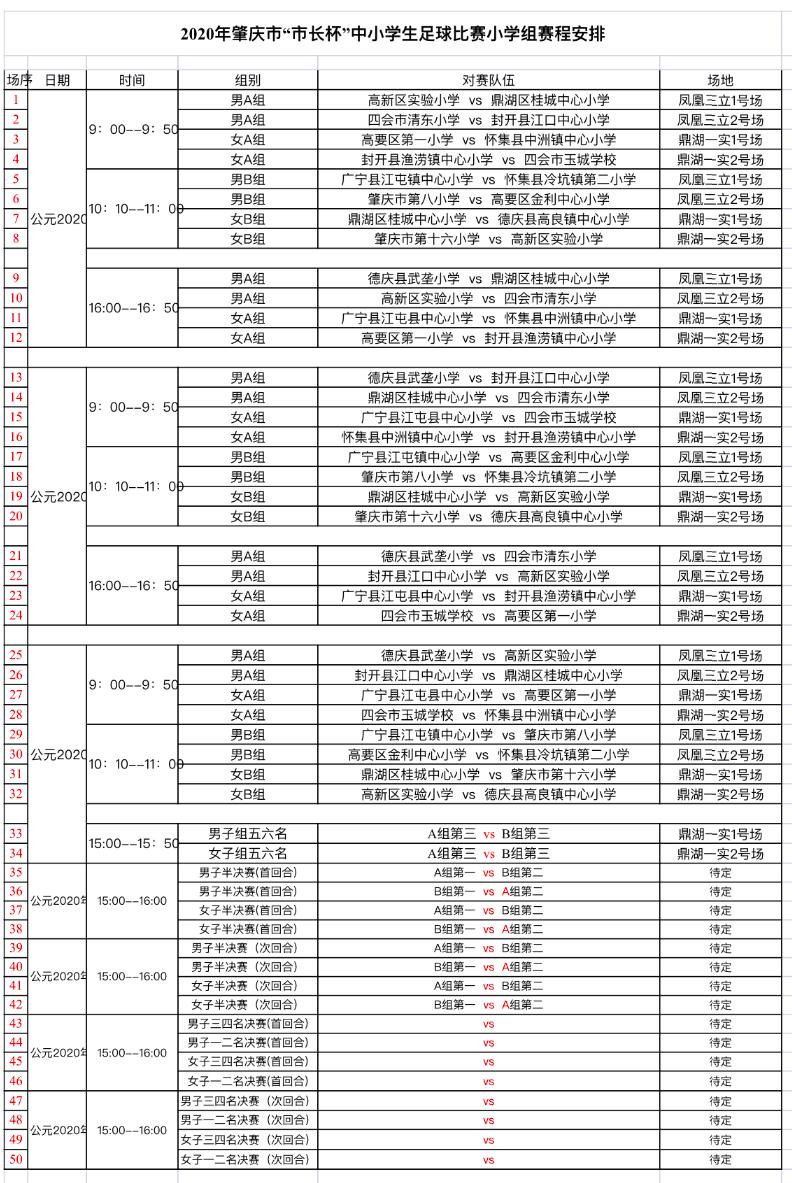 第28届市长杯足球联赛小学,第三届市长杯青少年足球比赛