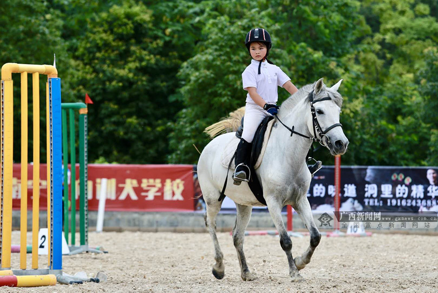 怎样给孩子选择靠谱的兴趣班,最适合孩子学的兴趣班