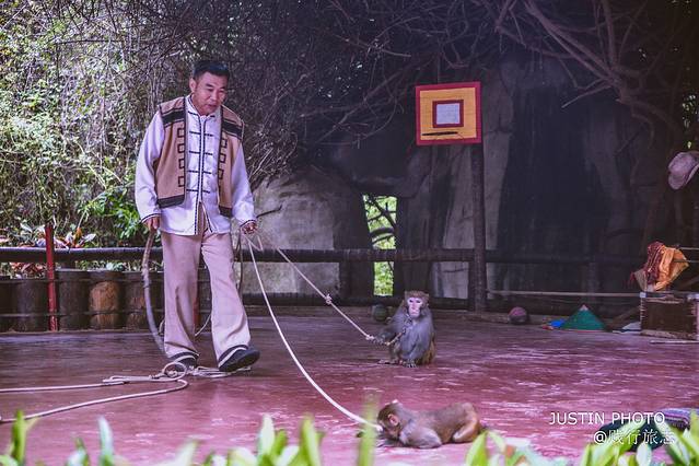 海南环岛旅行需要多少天,去海南过冬天去哪里最好