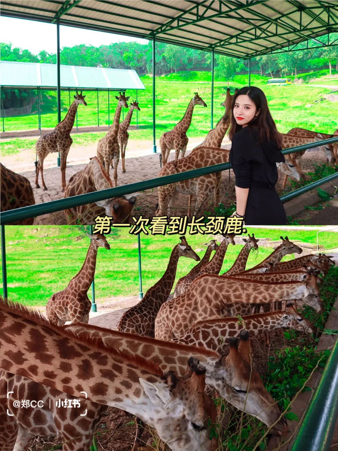 五一重庆新晋打卡公园,重庆海陆空大世界游乐园