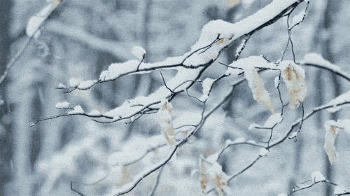 延边开启滑雪季快来嗨翻冬天,雪雪来了