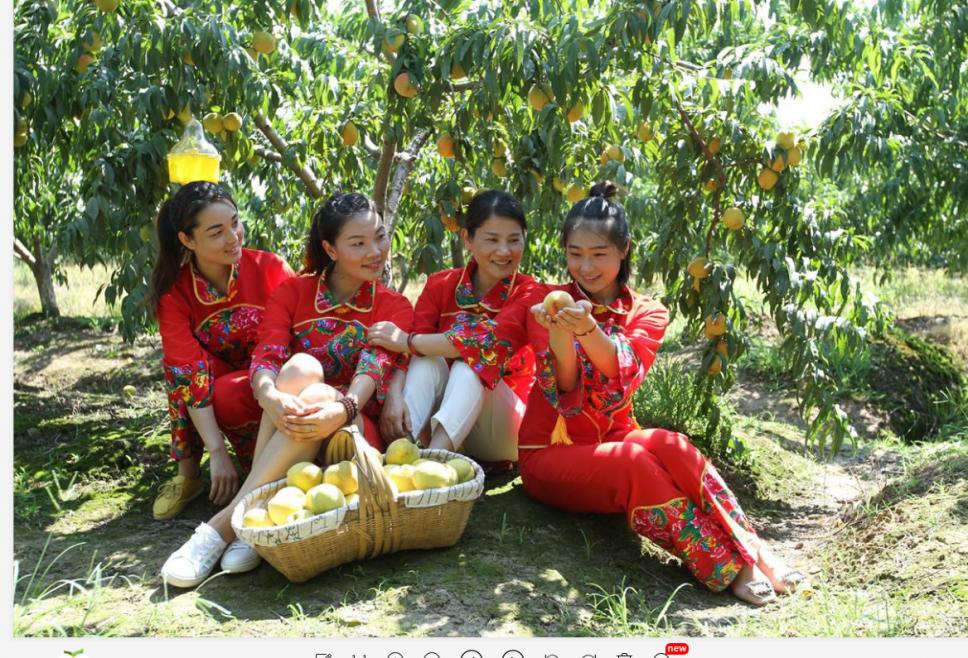 最美乡村游推荐湖北,300条全国乡村旅游精品线路