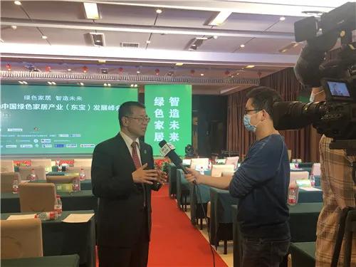 促进绿色发展政府要怎么做,推动绿色发展相关举措有