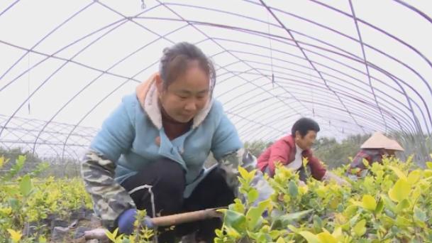 沭阳带动就业促民增收,沭阳县钱集发展