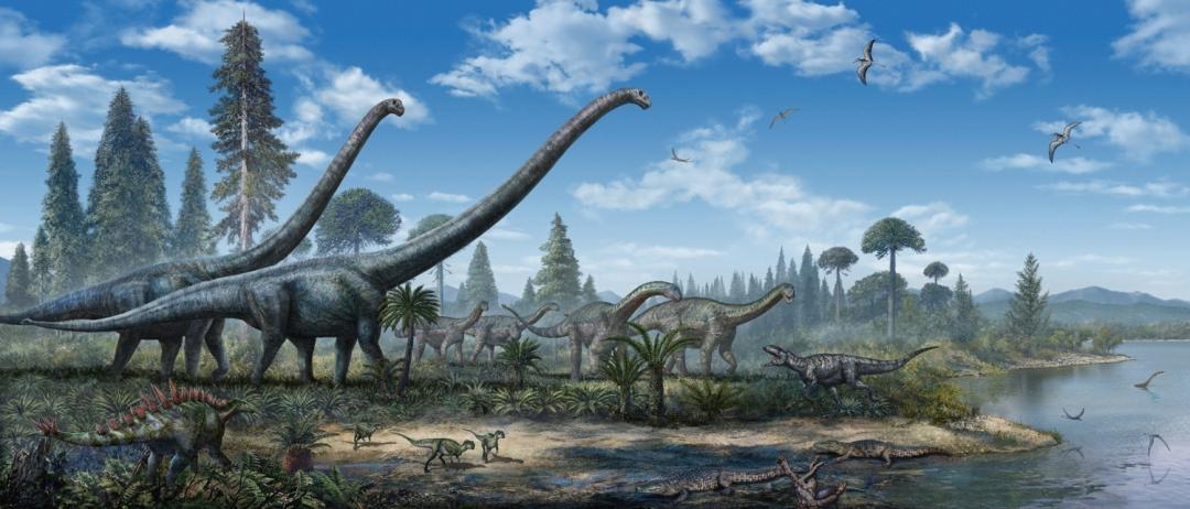 自贡恐龙历史简介,自贡恐龙科普