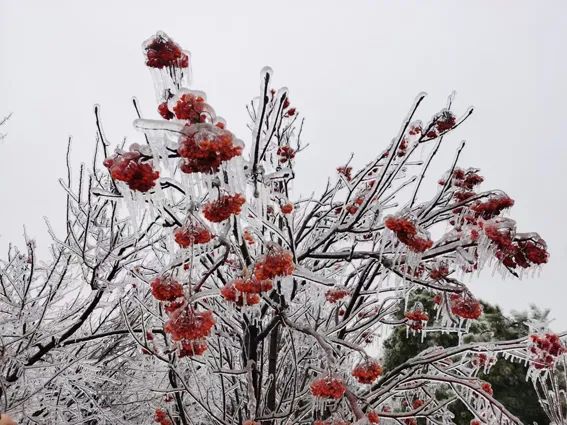 延边开启滑雪季快来嗨翻冬天,雪雪来了