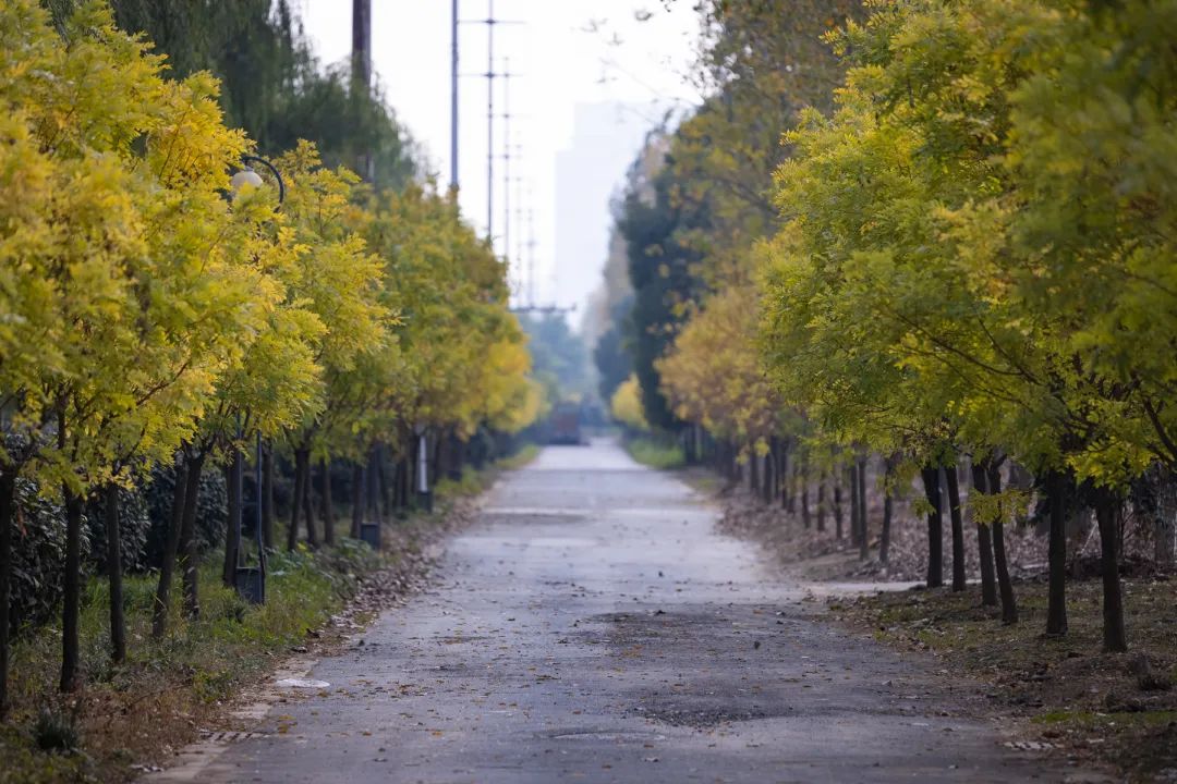 清北现在的情况,清北最新消息