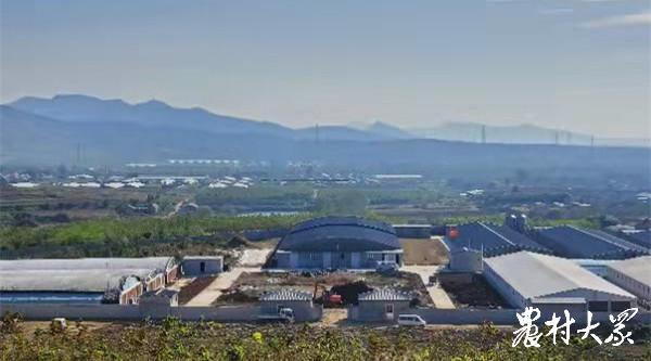 椋熷搧琛屼笟瑙傚療,琛屼笟瑙傚療鐢熼矞渚涘簲