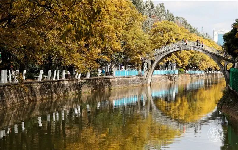 水更清！看云南“明珠”常亮常清