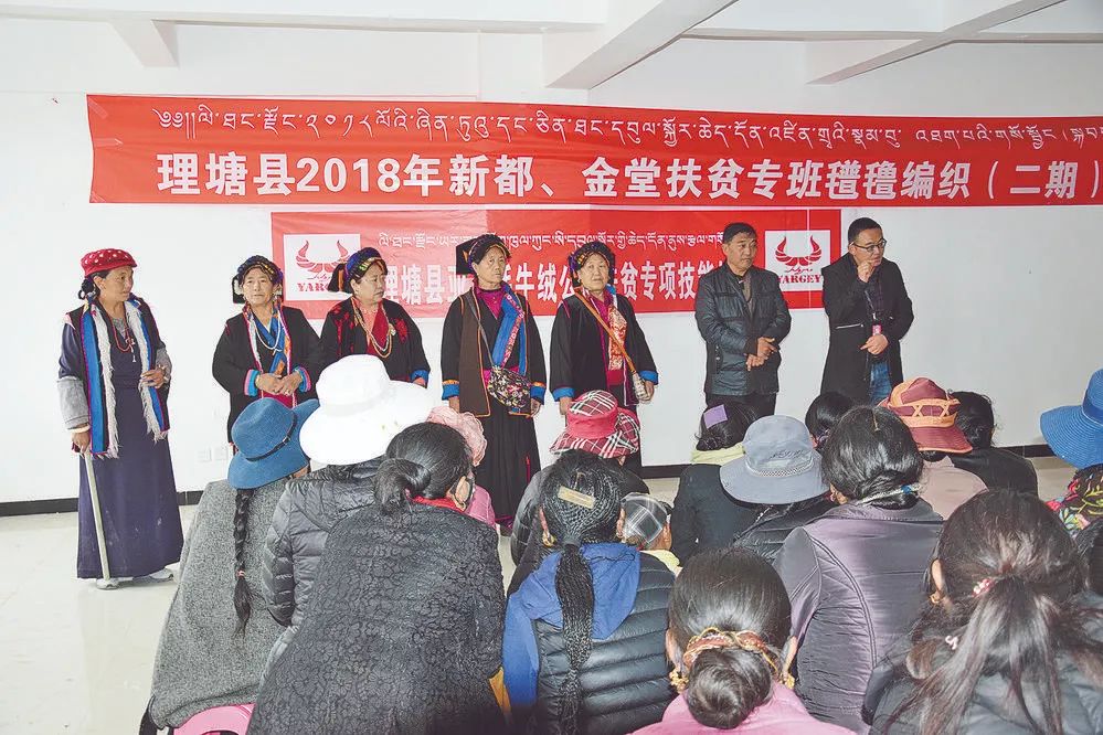 记者走企业·聚焦高质量发展③丨牦牛绒一斤卖到40多元,理塘这家公司“变废为宝”