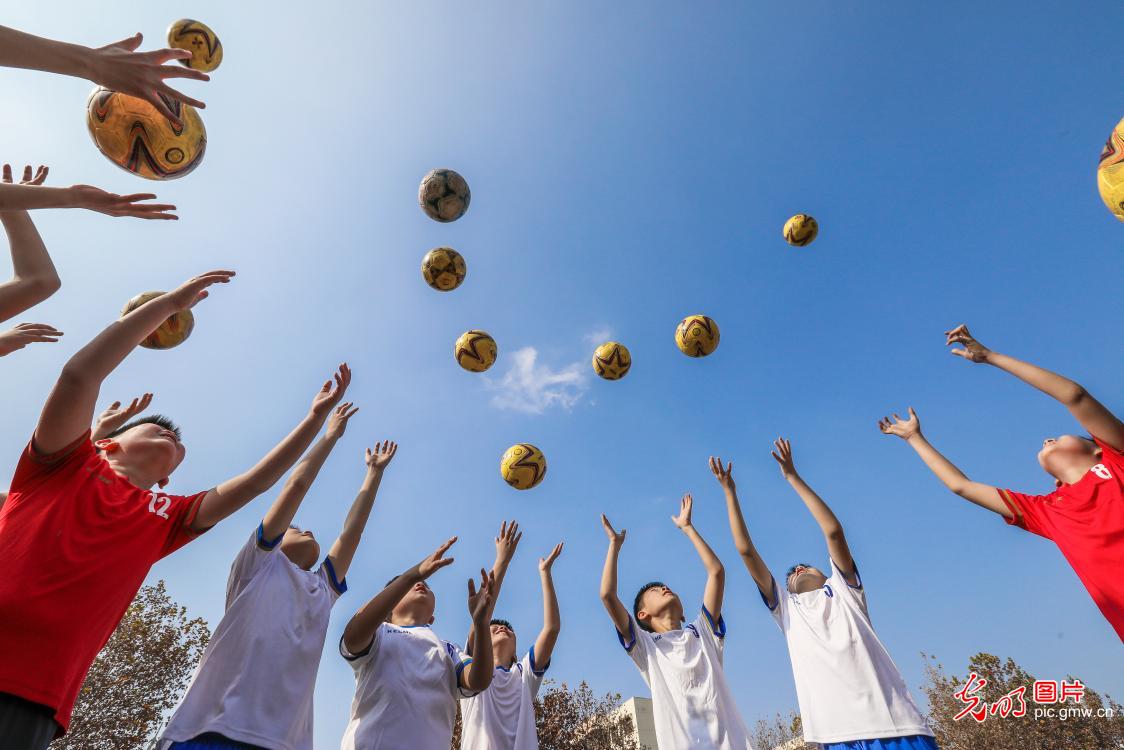 足球小将驰骋绿茵比拼球技,足球小将比赛