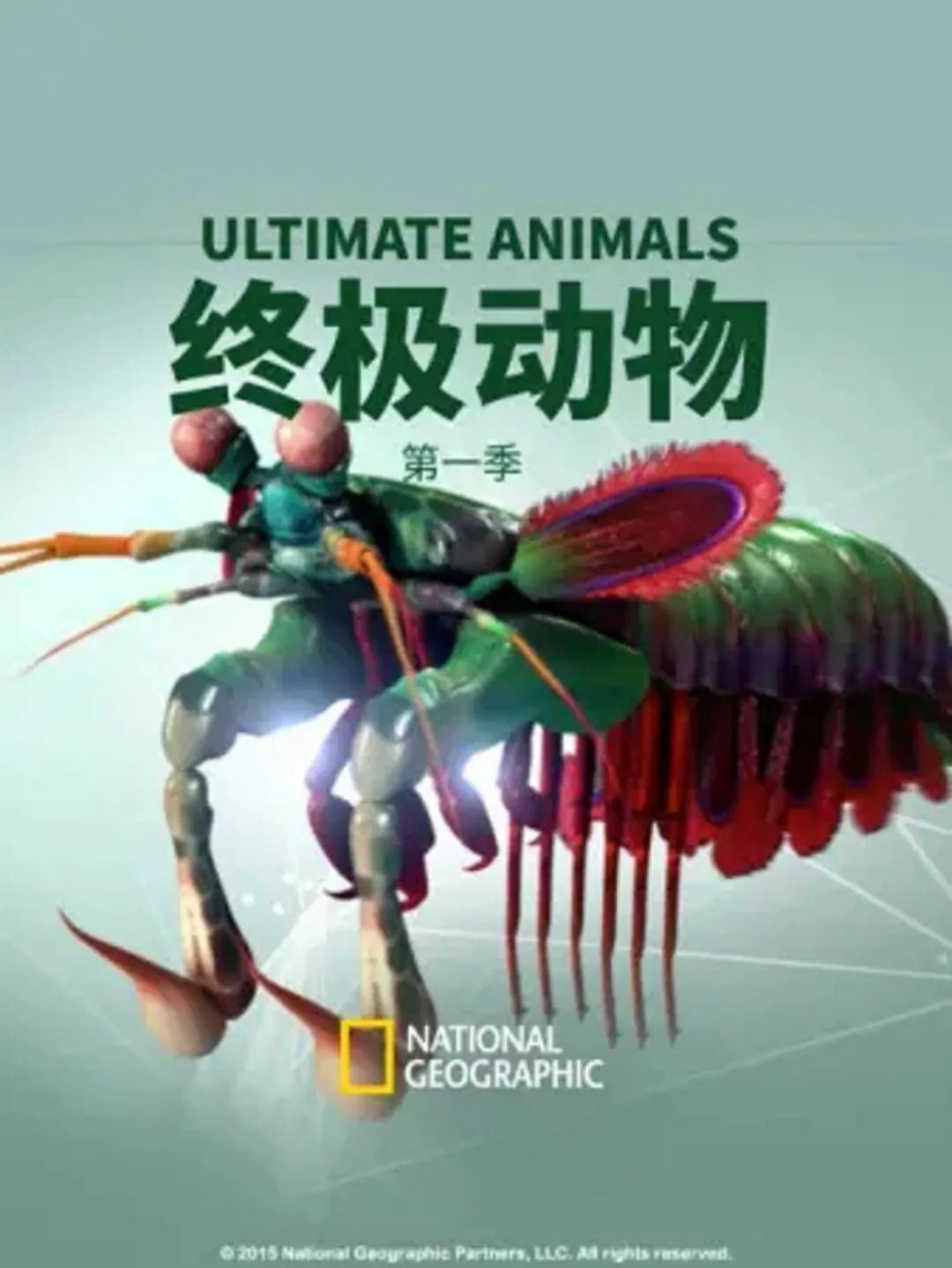 猫的咕噜声能缓解紧张吗,猫的咕噜噜声能够帮助长高吗