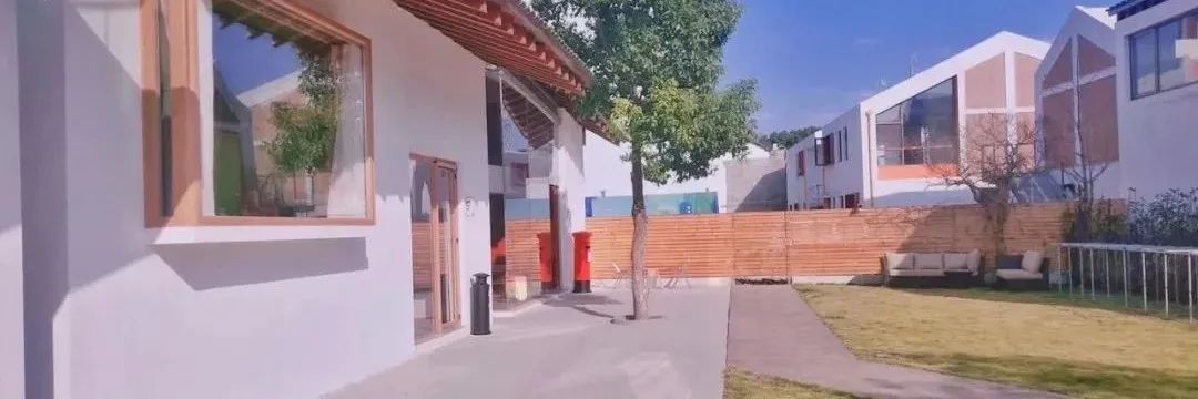 很多人买过!“蚂蚁”上这类产品统统下架!传中央调查组已进驻阿里巴巴?