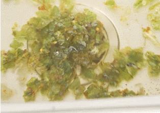 下水道堵塞臭,下水道有空气堵塞怎么疏通