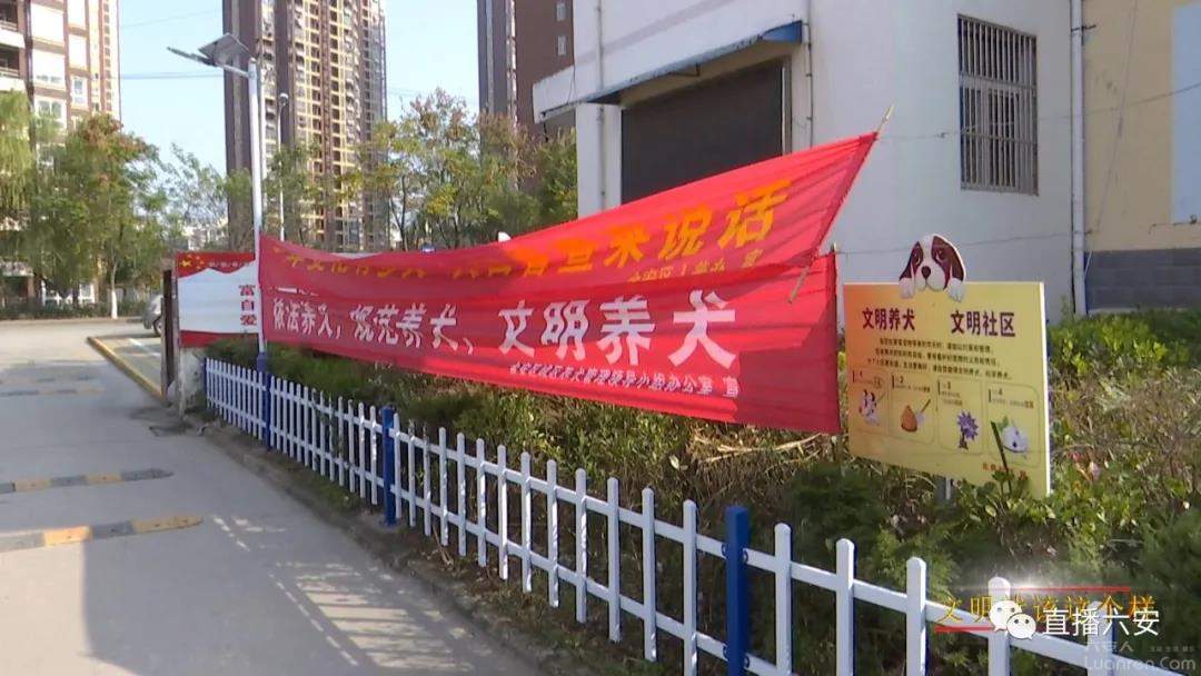 影响公共环境不文明行为整治方案,公共场所不讲卫生文明的行为