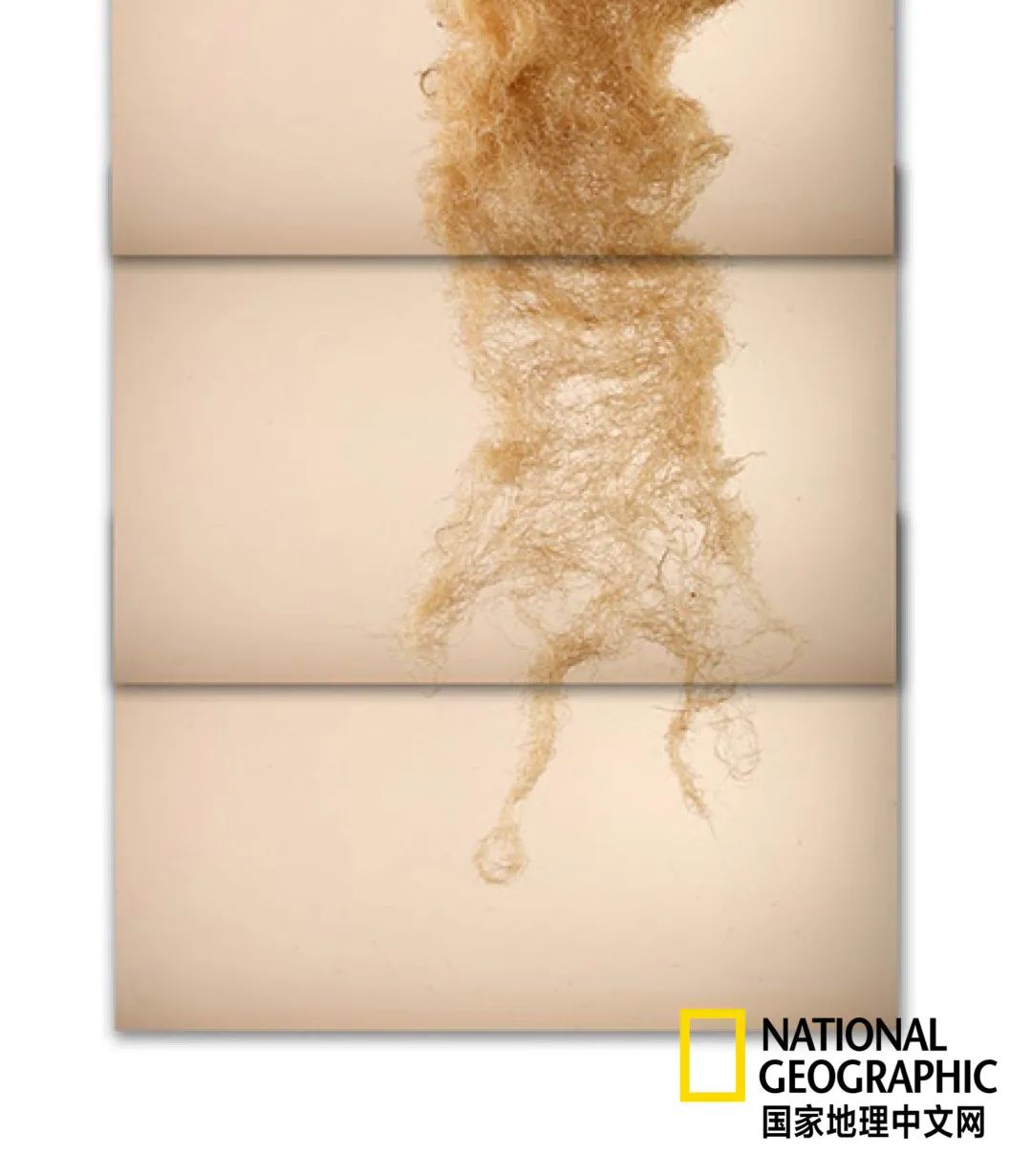 土这种物质，可太冤了