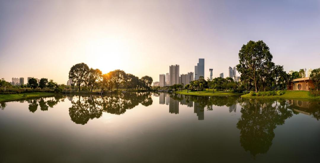 买了这个盘，未来十年我都不需要担心了