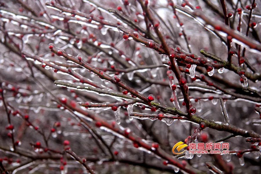 南昌冬天最好玩的地方是哪里,南昌冬天好玩的地方推荐