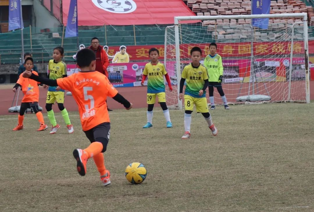 飒！萧山捧回一系列校园足球荣誉