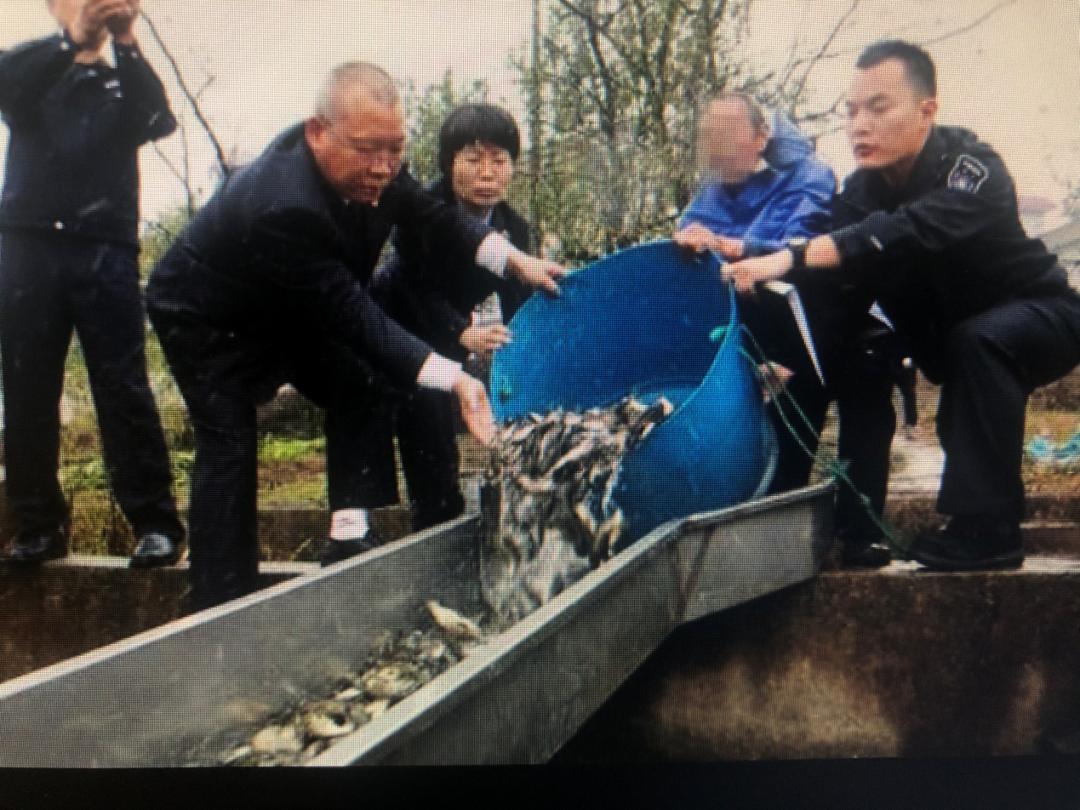 最高检长江经济带典型案例第三批,湖北长江经济带