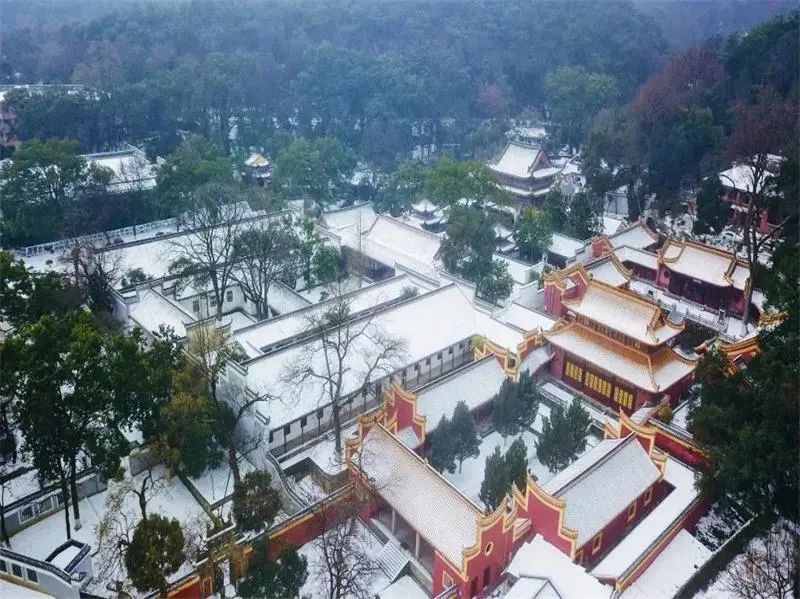 今天cctv1在线直播节目表,cctv1开讲啦今天的直播回放