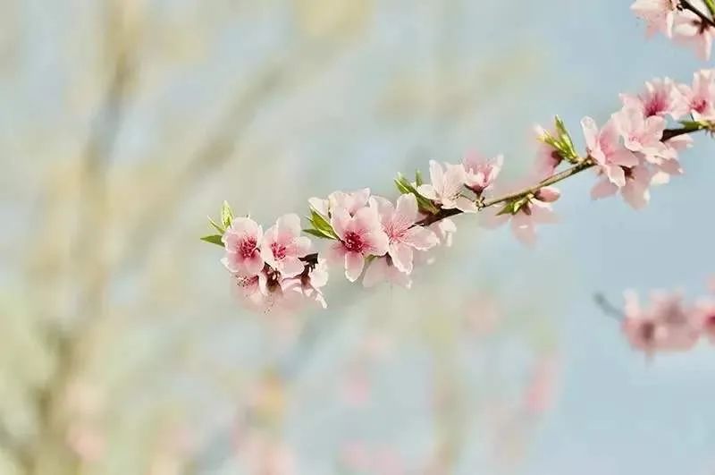 《读你,是我永远的惦念》---致敬互助公安微信公众号