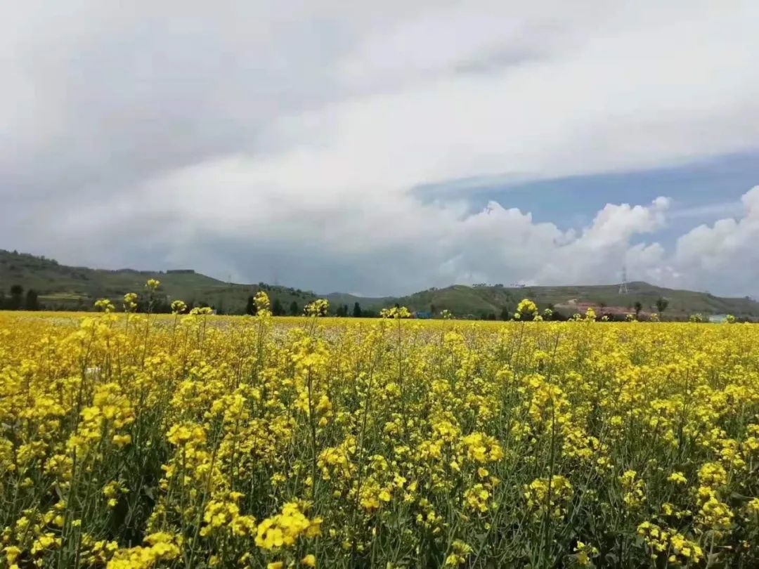 《读你,是我永远的惦念》---致敬互助公安微信公众号