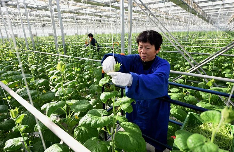 从2020年中央经济工作会议看以习*平近**同志为核心的*党**中央谋划“十四五”开局起步