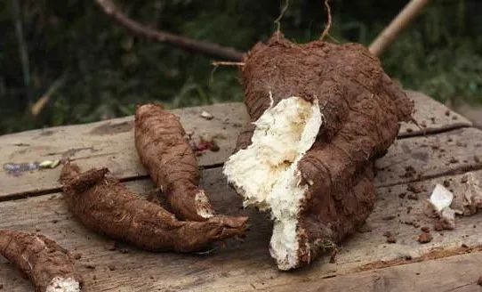 如何快速丰胸且不会反弹,不吃药怎么丰胸