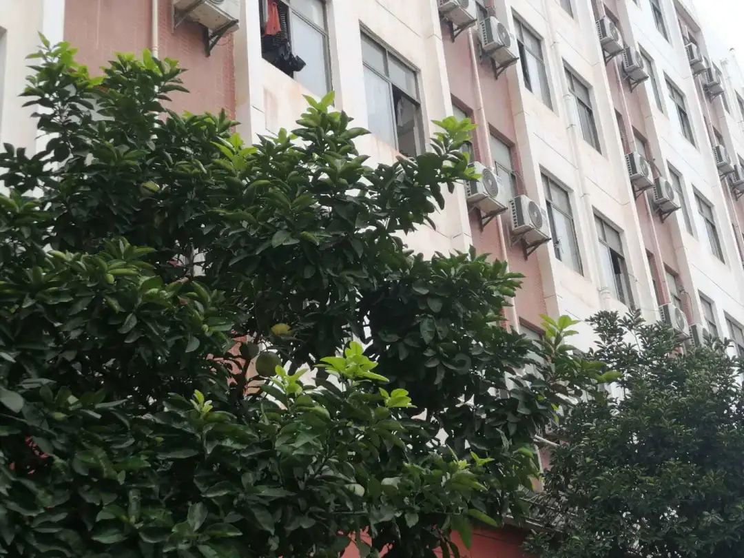 江西科技师范大学理工学院怎样,江西科技师范大学理工学院