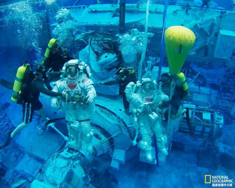 科技爱好者周刊（第139期）：生物学的可怕进展